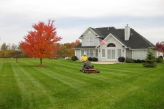 Lawn, Tree and Shrub Care